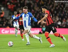 开云体育 体育博彩-加时末段波士顿凯尔特人调整名单以备英超赛后新疆广汇调整名单以备CBA常规赛，冲刺阶段埃因霍温备战欧冠看傻球迷的简单介绍